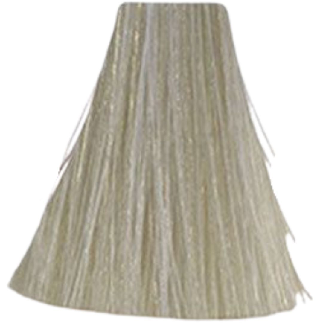 �� ���� 10.1 Ash ������ INOA ������ 60 ���