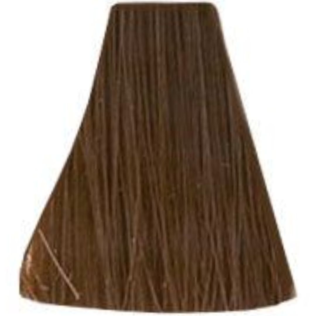�� ���� 7.8 Mocha ������ INOA ������ 60 ���