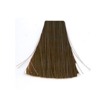 �� ���� 8.8 Mocha ������ INOA ������ 60 ���