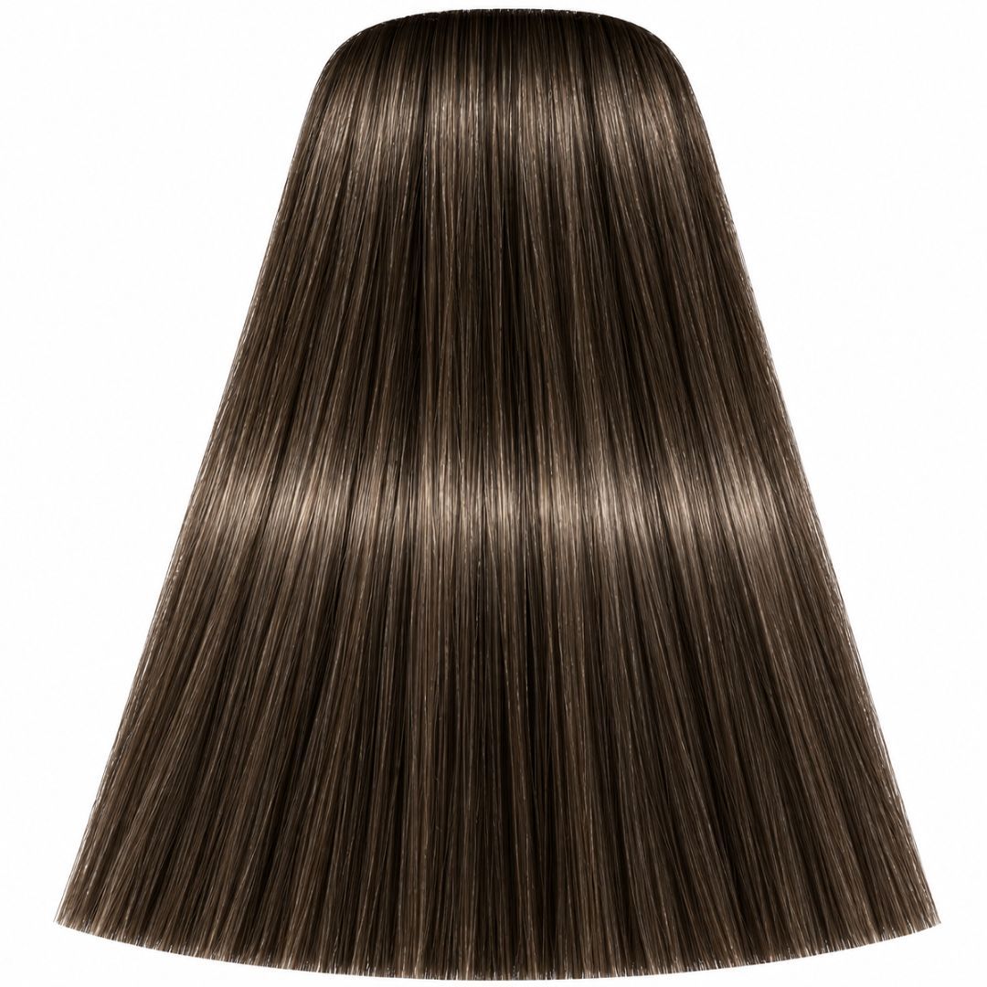 תת צבע לשיער 6-0 נטורל DARK BLONDE NATURAL איגורה IGORA שוורצקופף 60 גרם תת צבע לשיער 6-0 נטורל DARK BLONDE NATURAL איגורה IGORA שוורצקופף 60 גרם