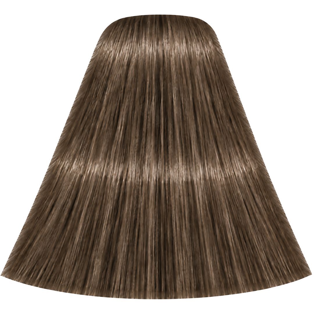�� ��� ����� 8-4 LIGHT BLONDE BEIGE ������ IGORA ��������� 60 ���