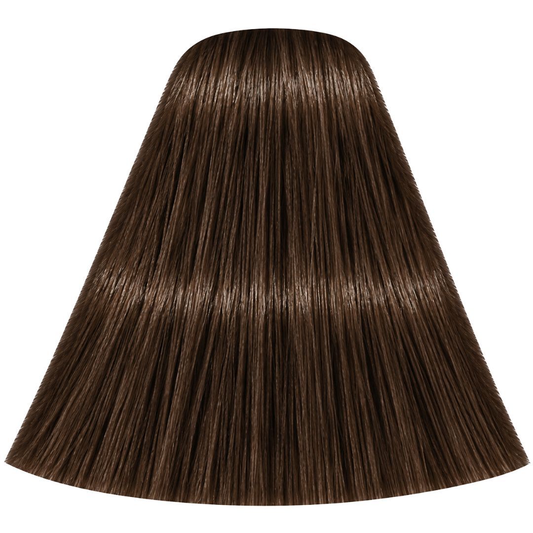 �� ��� ����� 6-46 DARK BLONDE BEIGE CHOCOLATE ������ IGORA ��������� 60 ���