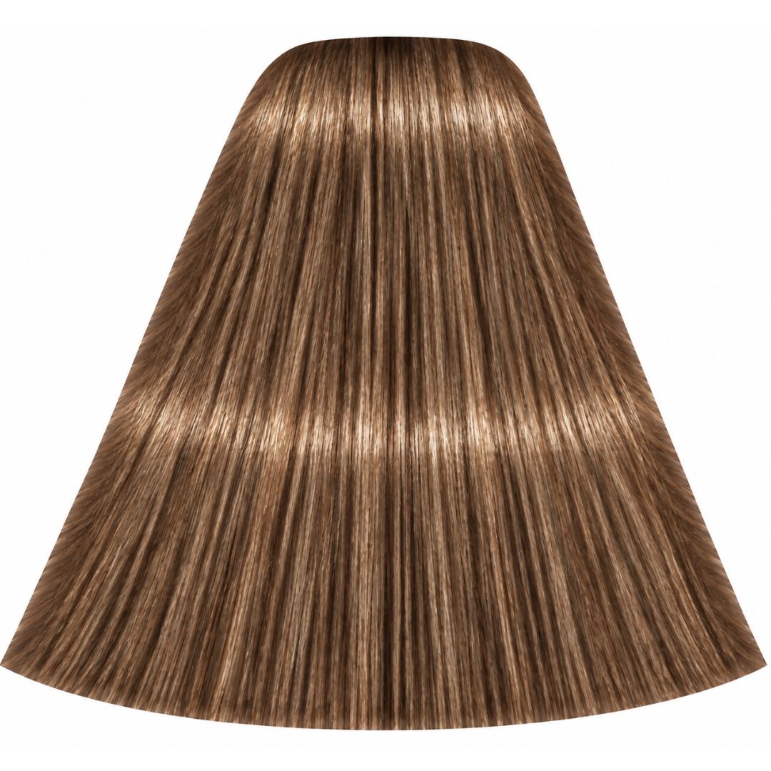 �� ��� ����� 8-46 LIGHT BLONDE BEIGE CHOCOLATE ������ IGORA ��������� 60 ���