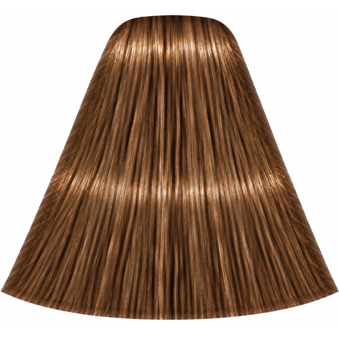 צבע לשיער 7-55 MEDIUM BLONDE GOLD EXTRA איגורה IGORA שוורצקופף 60 גרם צבע לשיער 7-55 MEDIUM BLONDE GOLD EXTRA איגורה IGORA שוורצקופף 60 גרם
