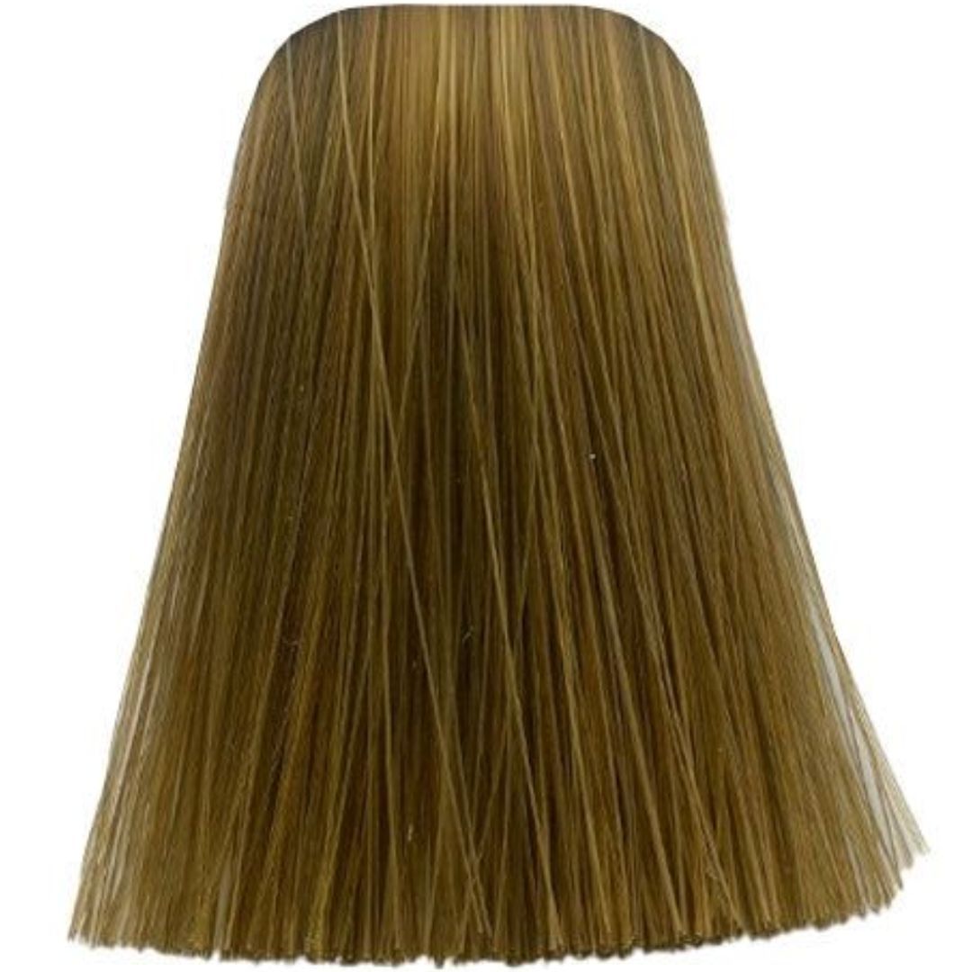 �� ��� ����� 7-55 MEDIUM BLONDE GOLD EXTRA ������ IGORA ��������� 60 ���