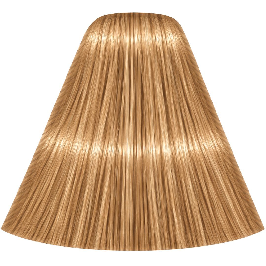 תת צבע לשיער 9-55 EXTRA LIGHT BLONDE GOLD EXTRA איגורה IGORA שוורצקופף 60 גרם תת צבע לשיער 9-55 EXTRA LIGHT BLONDE GOLD EXTRA איגורה IGORA שוורצקופף 60 גרם