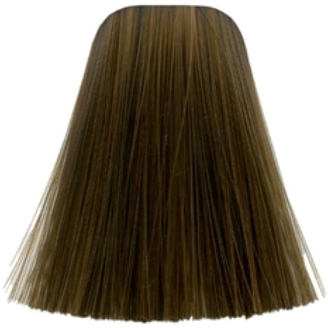 תת צבע לשיער 6-6 DARK BLONDE CHOCOLATE איגורה IGORA שוורצקופף 60 גרם תת צבע לשיער 6-6 DARK BLONDE CHOCOLATE איגורה IGORA שוורצקופף 60 גרם