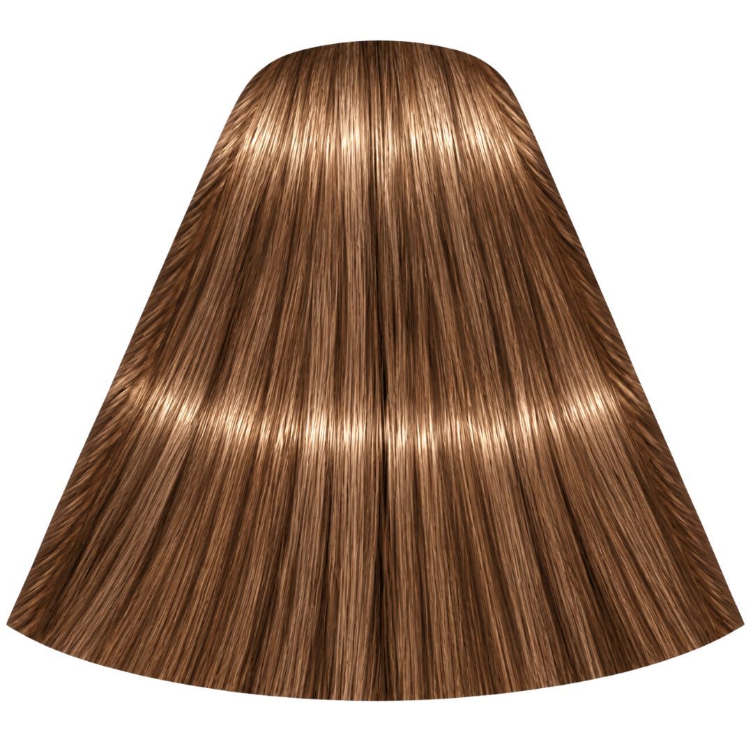 תת צבע לשיער 7-65 MEDIUM BLONDE CHOCOLATR GOLD איגורה IGORA שוורצקופף 60 גרם תת צבע לשיער 7-65 MEDIUM BLONDE CHOCOLATR GOLD איגורה IGORA שוורצקופף 60 גרם