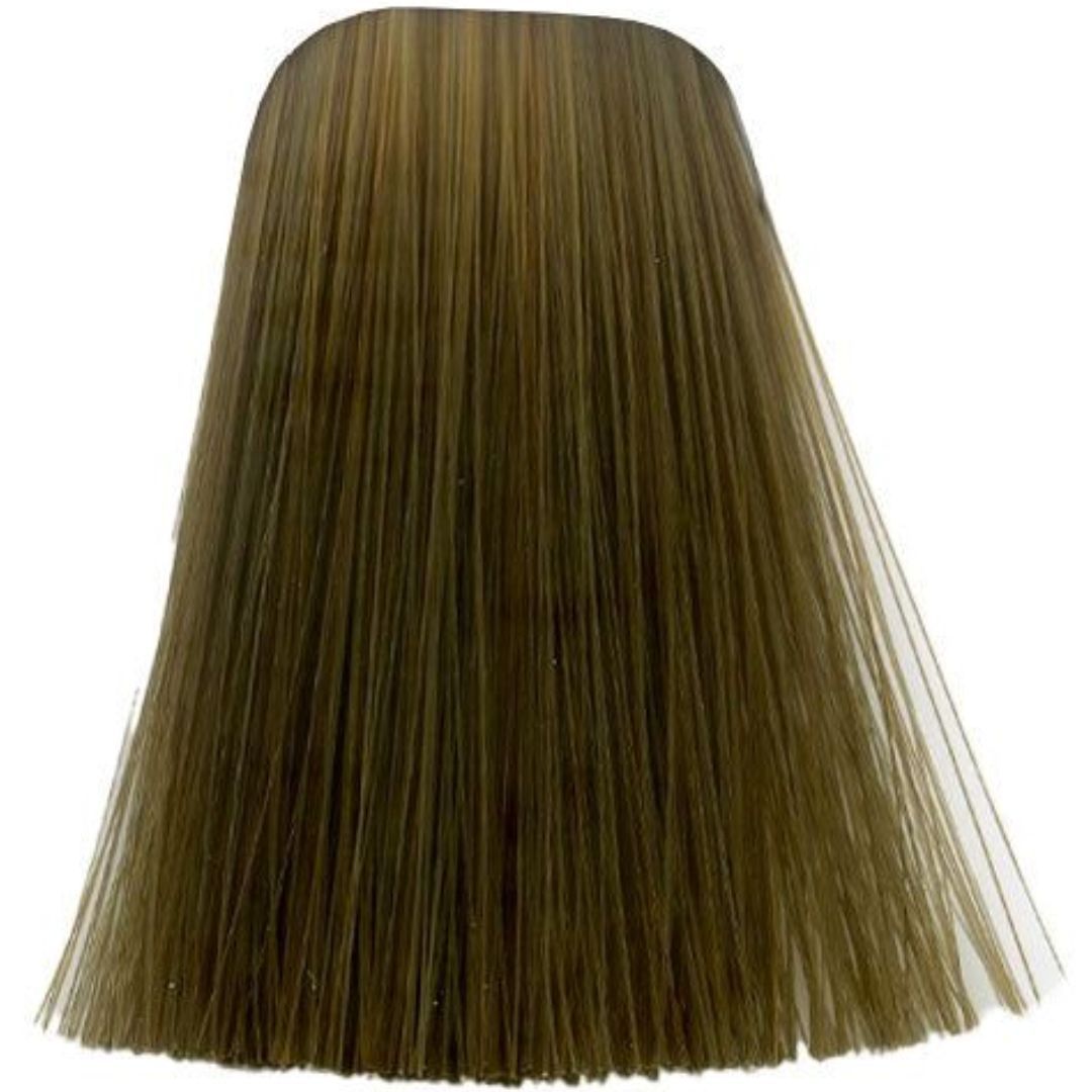 תת צבע לשיער 7-65 MEDIUM BLONDE CHOCOLATR GOLD איגורה IGORA שוורצקופף 60 גרם תת צבע לשיער 7-65 MEDIUM BLONDE CHOCOLATR GOLD איגורה IGORA שוורצקופף 60 גרם