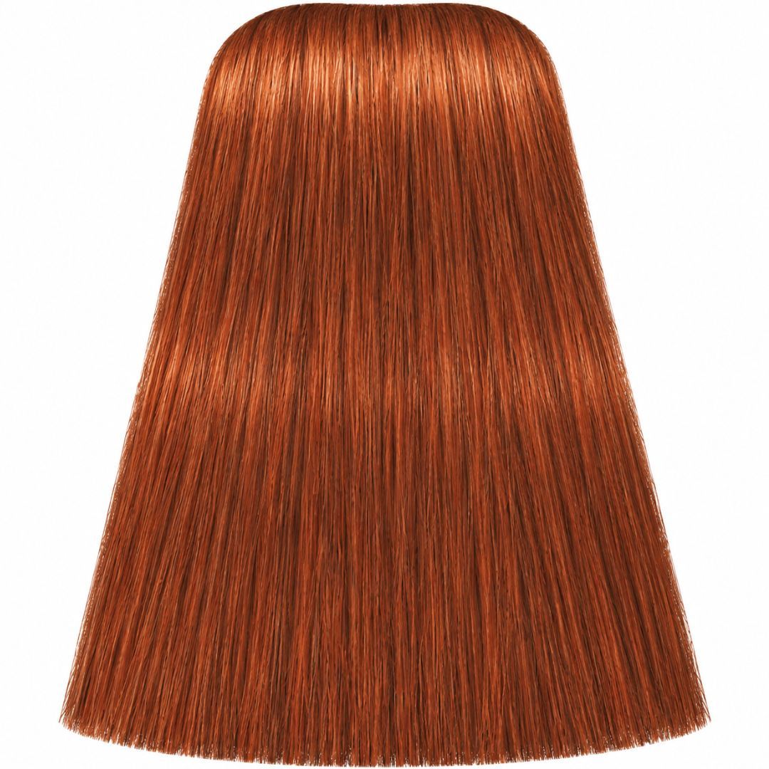 �� ��� ����� 7-77 MEDIUM BLONDE COPPER EXTRA ������ IGORA ��������� 60 ���
