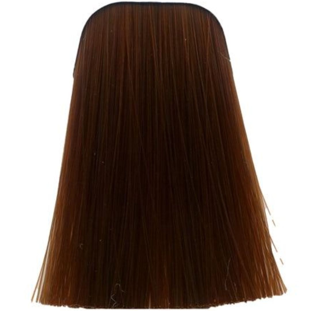 �� ��� ����� 7-77 MEDIUM BLONDE COPPER EXTRA ������ IGORA ��������� 60 ���
