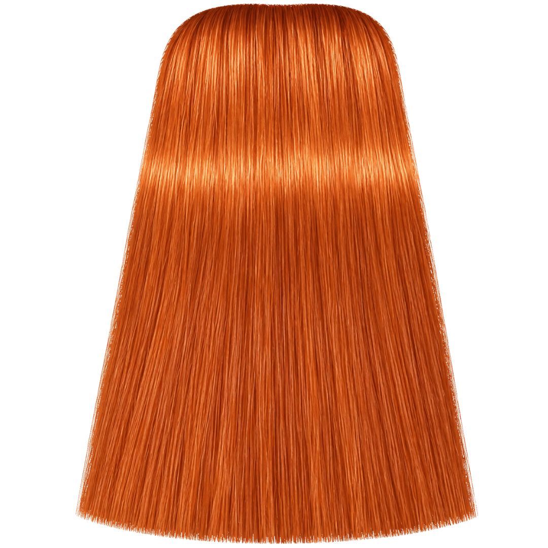 תת צבע לשיער 8-77 LIGHT BLONDE COPPER EXTRA איגורה IGORA שוורצקופף 60 גרם תת צבע לשיער 8-77 LIGHT BLONDE COPPER EXTRA איגורה IGORA שוורצקופף 60 גרם
