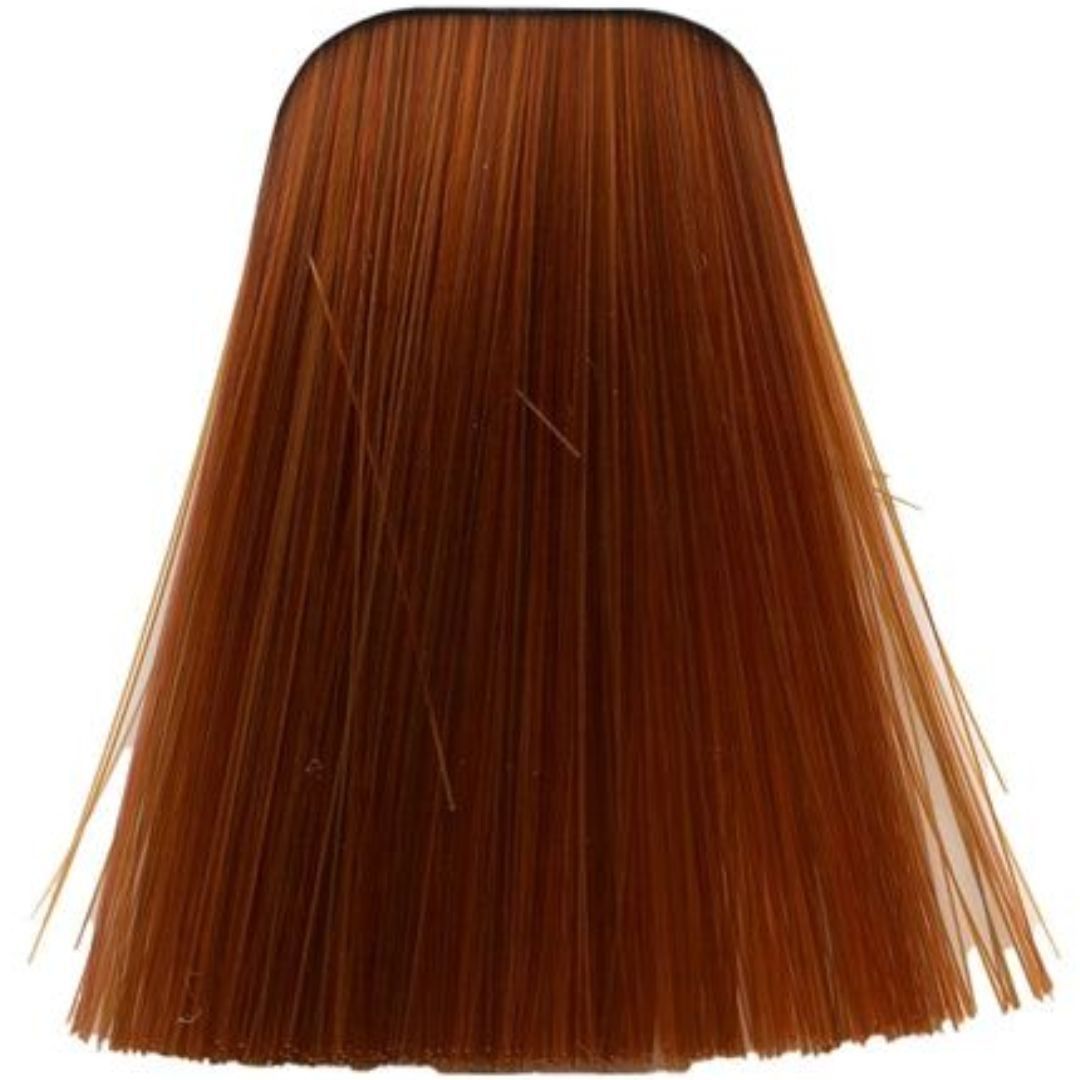 תת צבע לשיער 8-77 LIGHT BLONDE COPPER EXTRA איגורה IGORA שוורצקופף 60 גרם תת צבע לשיער 8-77 LIGHT BLONDE COPPER EXTRA איגורה IGORA שוורצקופף 60 גרם