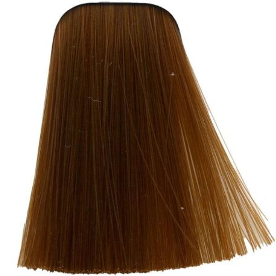 תת צבע לשיער 9-7 EXTRA LIGHT BLONDE COPPER איגורה IGORA שוורצקופף 60 גרם תת צבע לשיער 9-7 EXTRA LIGHT BLONDE COPPER איגורה IGORA שוורצקופף 60 גרם