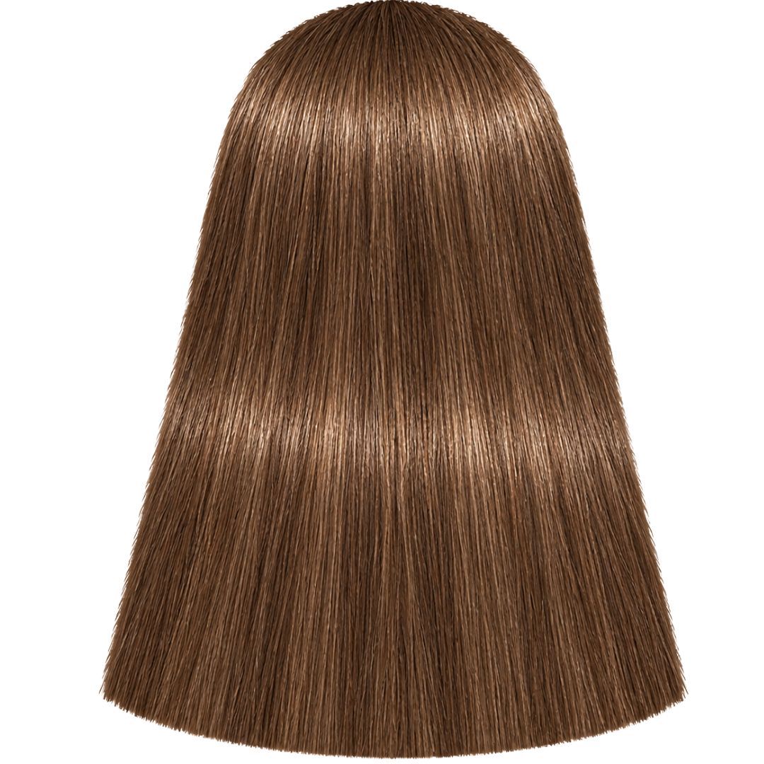 �� ��� ����� 7-460 MEDIUM BLONDE BEIGE CHOCOLATE NATURAL ������ IGORA ��������� 60 ���