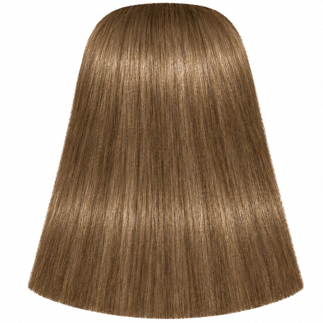 �� ��� ����� 9-460 EXTRA LIGHT BLONDE BEIGE CHOCOLATE NATURAL ������ IGORA ��������� 60 ���