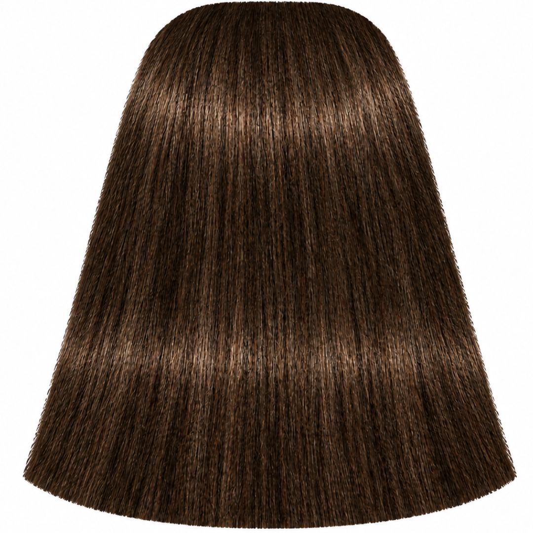 �� ��� ����� 6-50 DARK BLONDE GOLD NATURAL ������ IGORA ��������� 60 ���