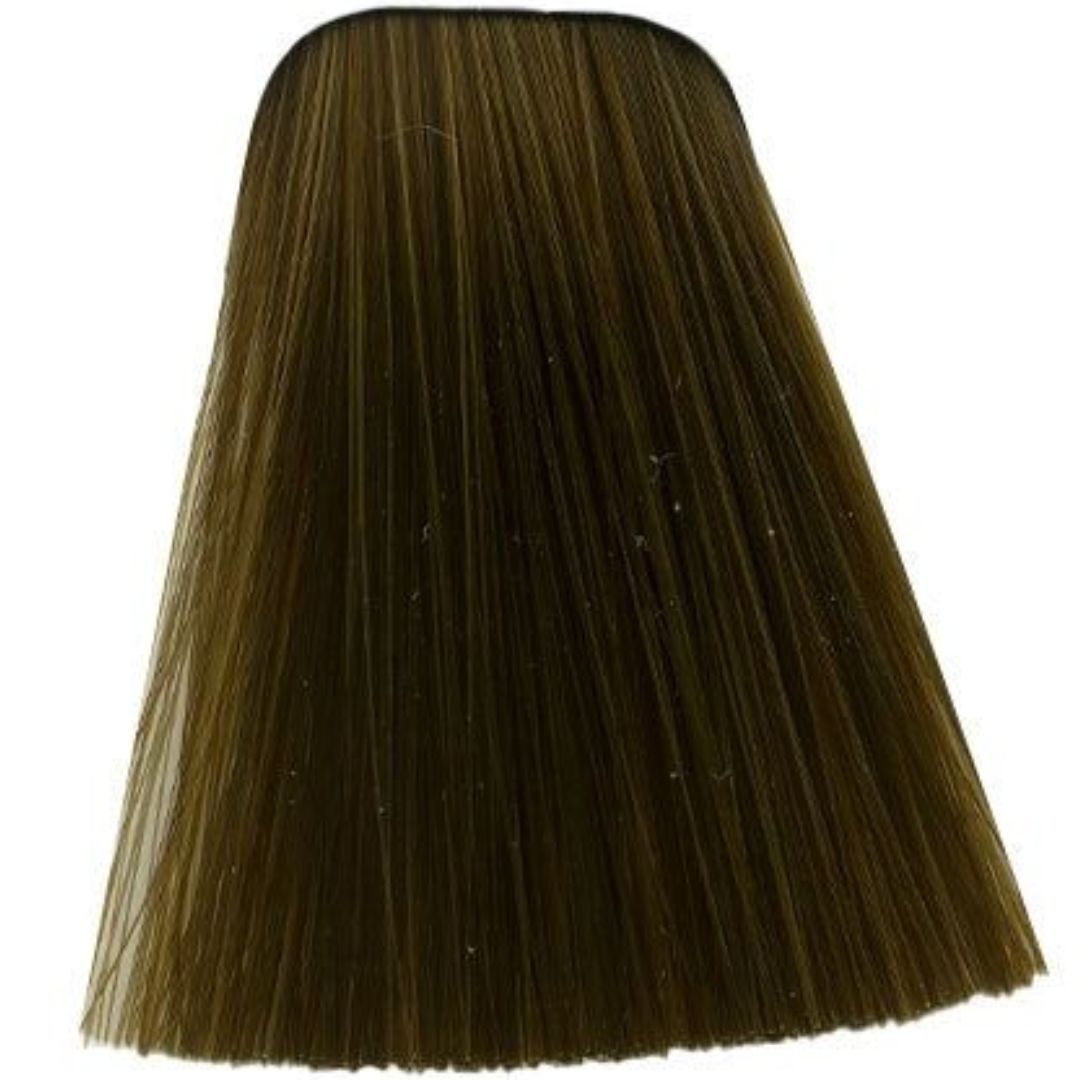 תת צבע לשיער 8-50 LIGHT BLONDE GOLD NETURAL איגורה IGORA שוורצקופף 60 גרם תת צבע לשיער 8-50 LIGHT BLONDE GOLD NETURAL איגורה IGORA שוורצקופף 60 גרם