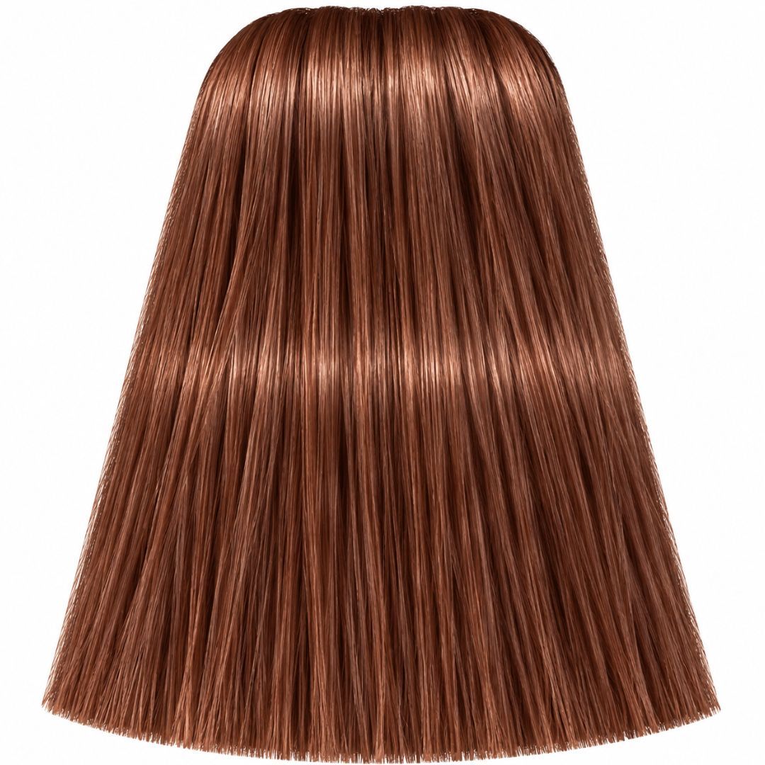 �� ��� ����� 7-560 MEDIUM BLONDE GOLD CHOCOLATE ������ IGORA ��������� 60 ���