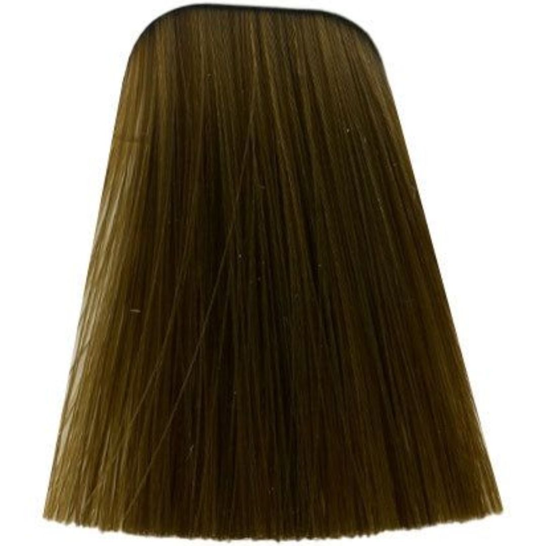 תת צבע לשיער 9-560 EXTRA LIGHT BLONDE GOLD CHOCOLATE איגורה IGORA שוורצקופף 60 גרם תת צבע לשיער 9-560 EXTRA LIGHT BLONDE GOLD CHOCOLATE איגורה IGORA שוורצקופף 60 גרם