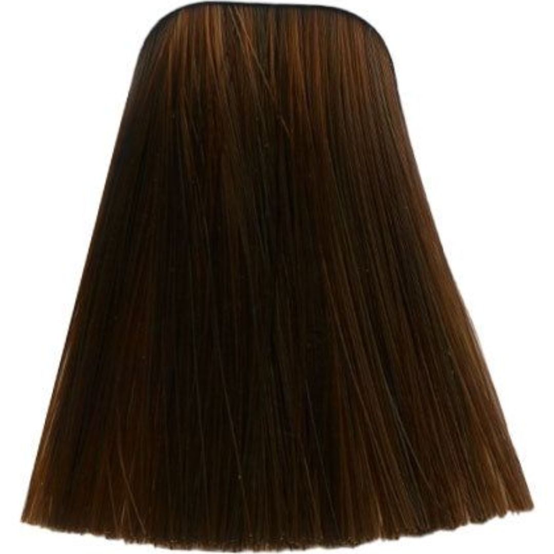 �� ��� ����� 6-70 DARK BLONDE COPPER NATURAL ������ IGORA ��������� 60 ���