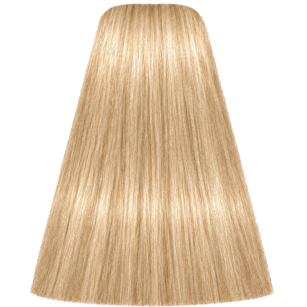 �� ��� ����� 10-4 ULTRA BLONDE BEIGE ������ IGORA ��������� 60 ���