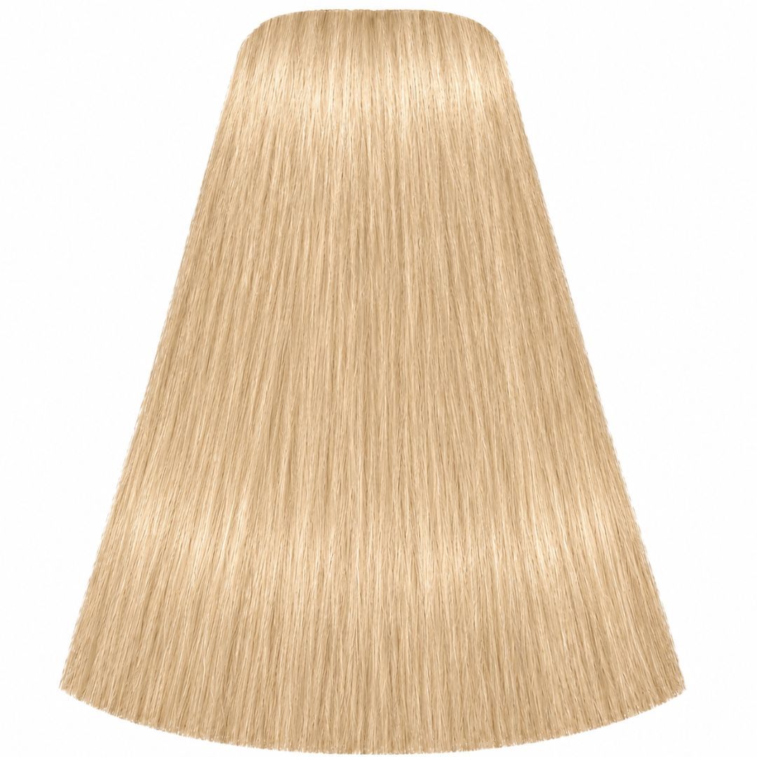 תת צבע לשיער 12-0 SPECIAL BLONDE NATURAL איגורה IGORA שוורצקופף 60 גרם תת צבע לשיער 12-0 SPECIAL BLONDE NATURAL איגורה IGORA שוורצקופף 60 גרם