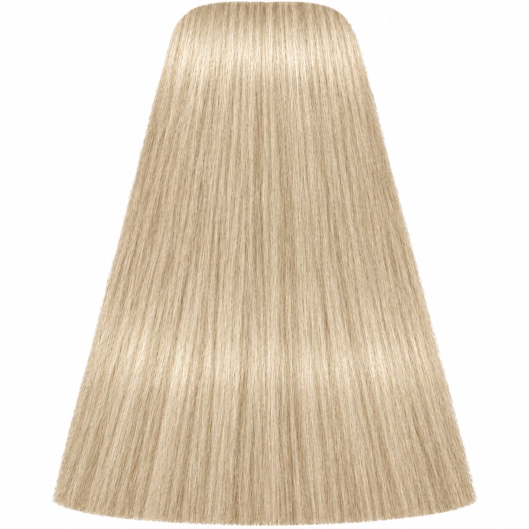 תת צבע לשיער 12-1 SPECIAL BLONDE CENDRE איגורה IGORA שוורצקופף 60 גרם תת צבע לשיער 12-1 SPECIAL BLONDE CENDRE איגורה IGORA שוורצקופף 60 גרם