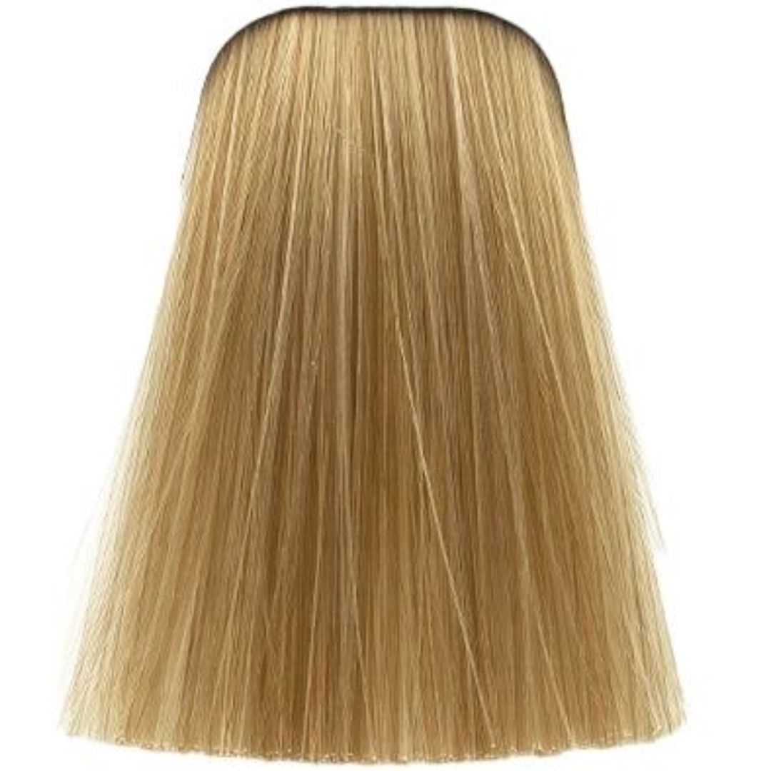 תת צבע לשיער 12-1 SPECIAL BLONDE CENDRE איגורה IGORA שוורצקופף 60 גרם תת צבע לשיער 12-1 SPECIAL BLONDE CENDRE איגורה IGORA שוורצקופף 60 גרם