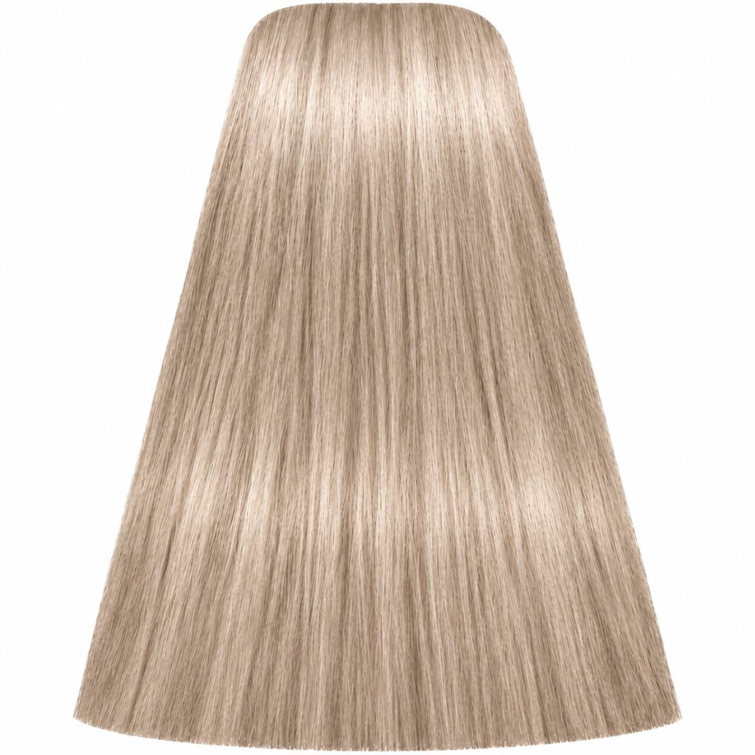 �� ��� ����� 12-19 SPECIAL BLONDE CENDRE VIOLET ������ IGORA ��������� 60 ���