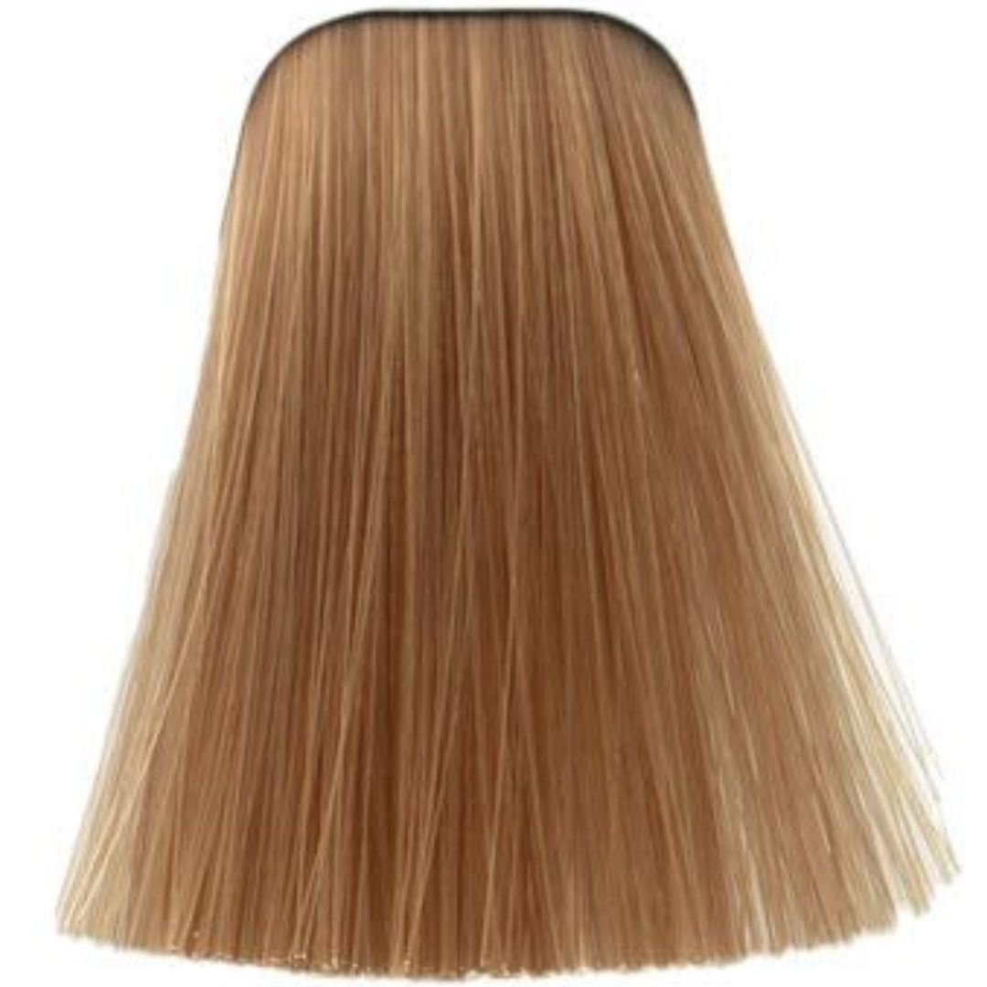 תת צבע לשיער 9,5-49 PASTEL NUDE איגורה IGORA שוורצקופף 60 גרם תת צבע לשיער 9,5-49 PASTEL NUDE איגורה IGORA שוורצקופף 60 גרם