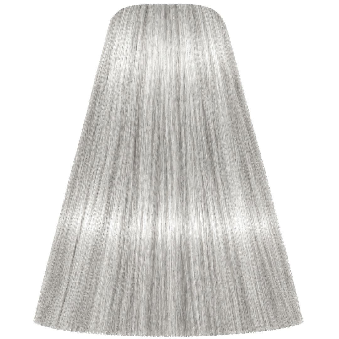 �� ��� ����� silver SPECIALITES ������ IGORA ��������� 60 ��� ��������� 60 ���