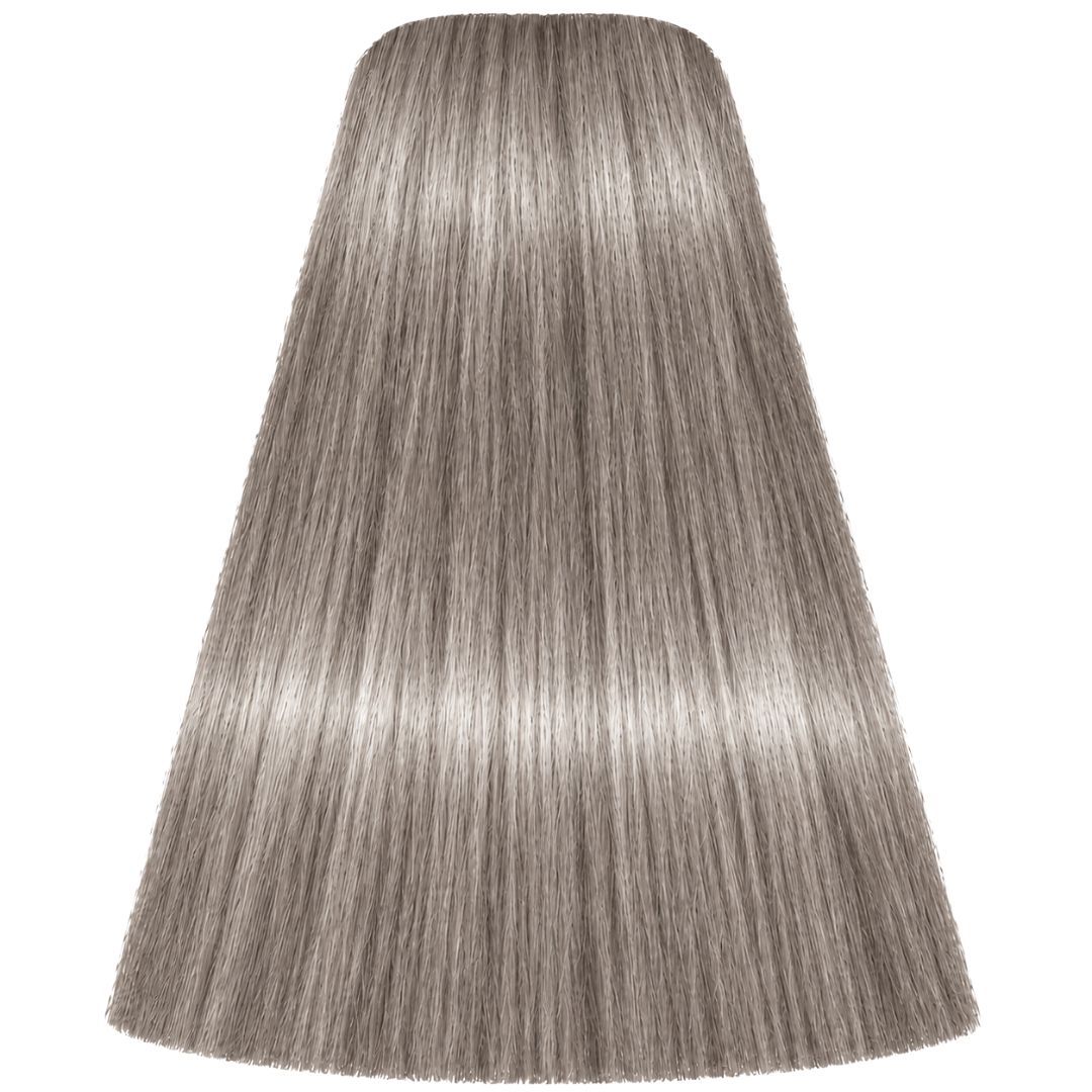 �� ��� ����� Slate Grey ������ IGORA ��������� 60 ���