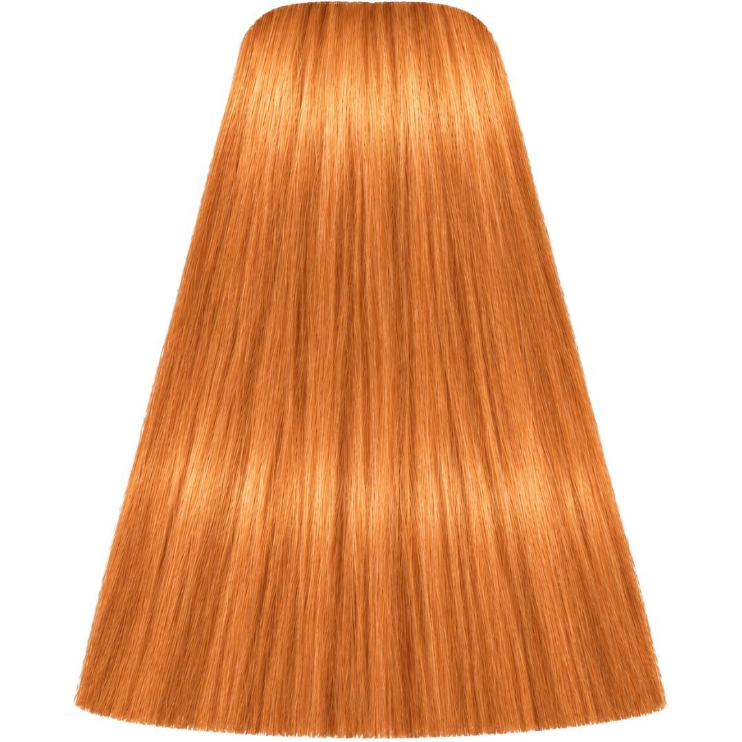 תת צבע לשיער 0-55 GOLD CONCETRATE איגורה IGORA שוורצקופף 60 גרם תת צבע לשיער 0-55 GOLD CONCETRATE איגורה IGORA שוורצקופף 60 גרם