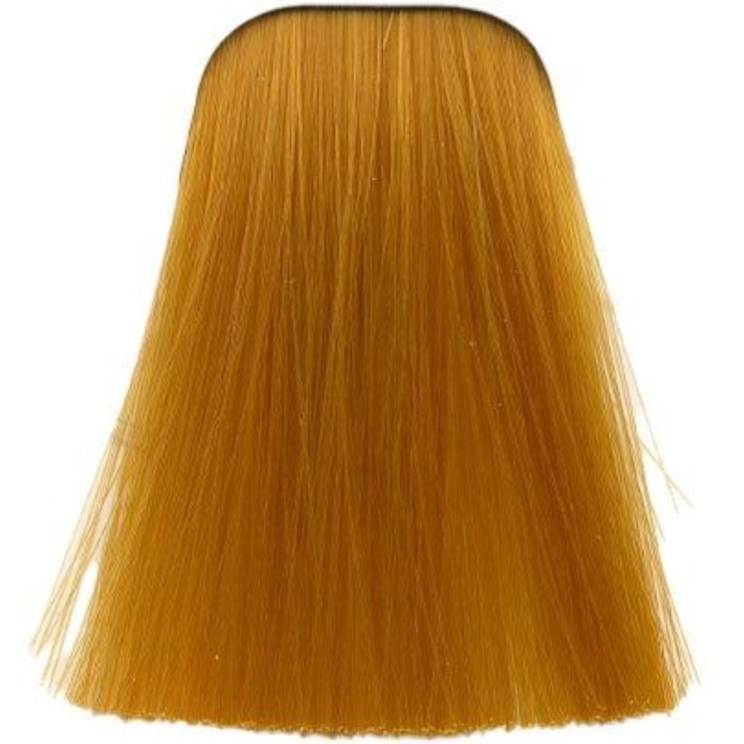 תת צבע לשיער 0-55 GOLD CONCETRATE איגורה IGORA שוורצקופף 60 גרם תת צבע לשיער 0-55 GOLD CONCETRATE איגורה IGORA שוורצקופף 60 גרם