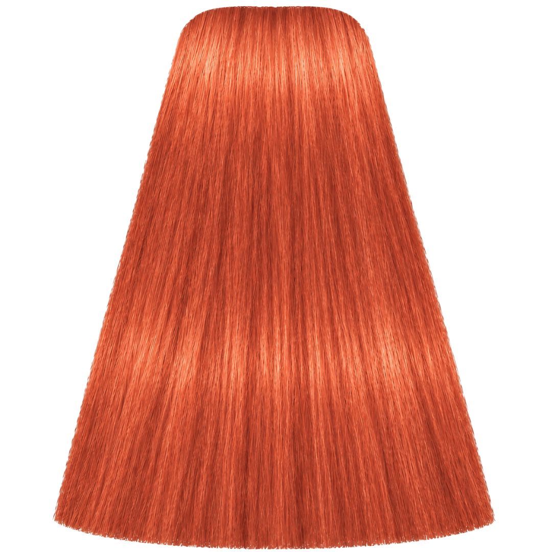 תת צבע לשיער 0-77 COPPER CONCETRATE איגורה IGORA שוורצקופף 60 גרם תת צבע לשיער 0-77 COPPER CONCETRATE איגורה IGORA שוורצקופף 60 גרם