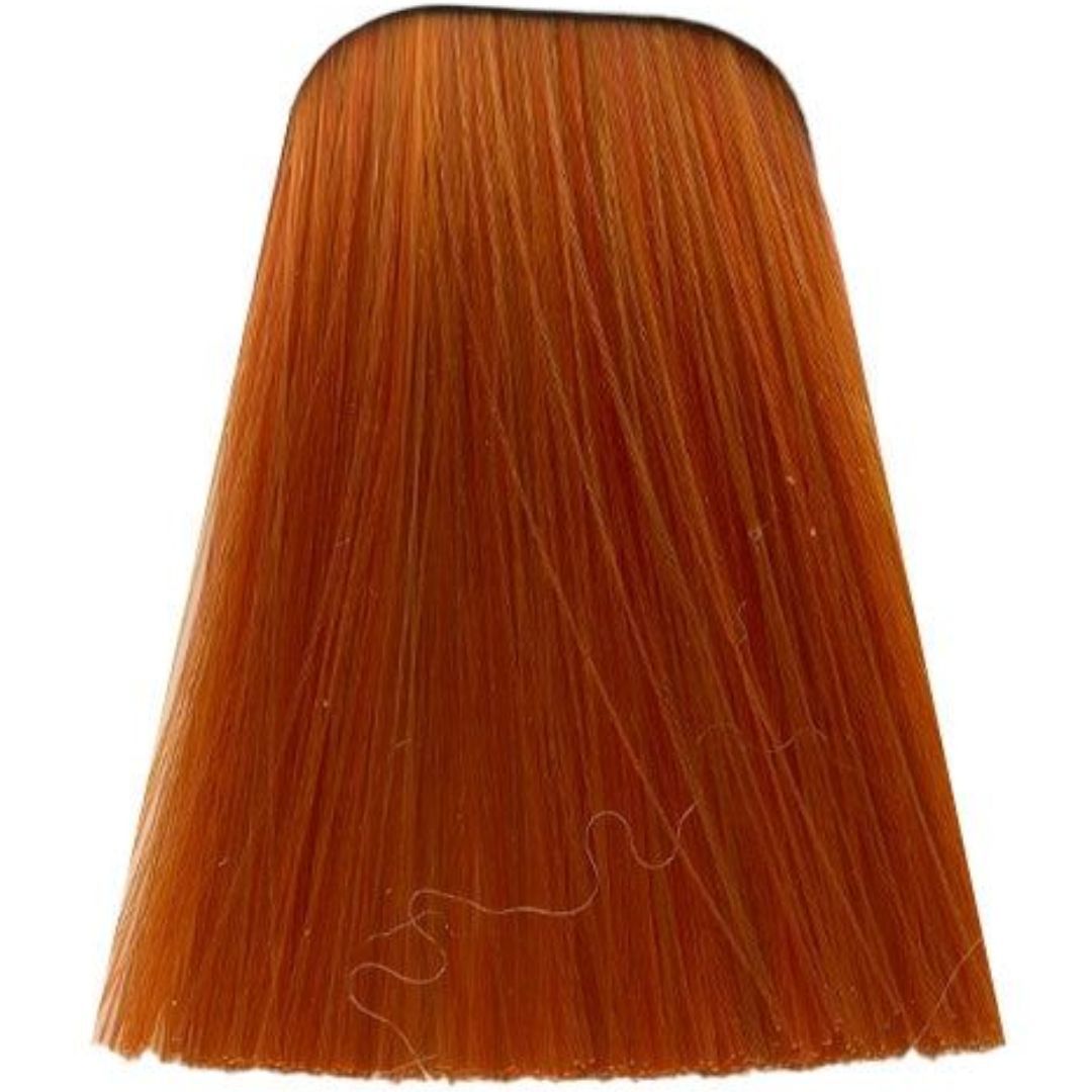 תת צבע לשיער 0-77 COPPER CONCETRATE איגורה IGORA שוורצקופף 60 גרם תת צבע לשיער 0-77 COPPER CONCETRATE איגורה IGORA שוורצקופף 60 גרם