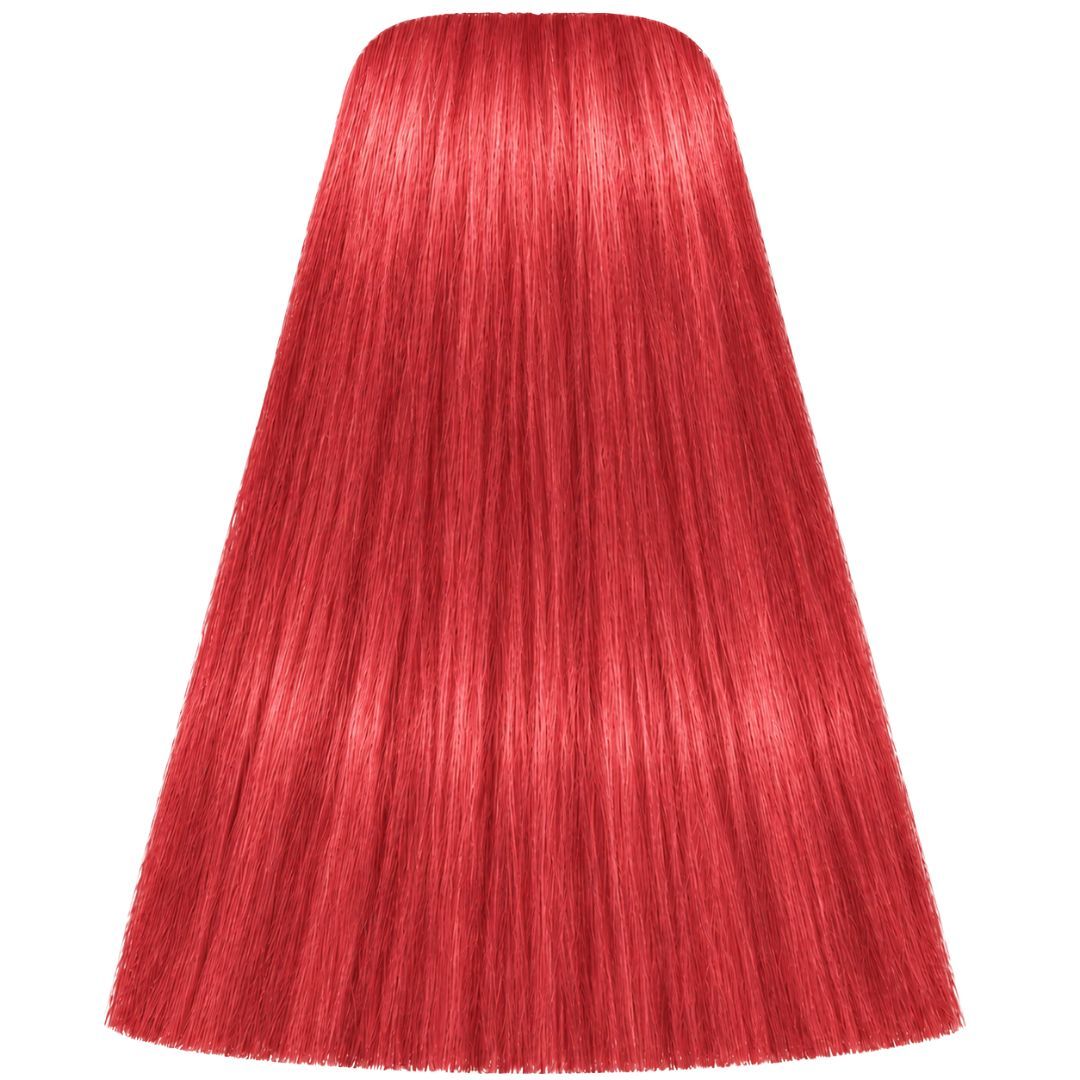 תת צבע לשיער 0-88 RED CONCETRATE איגורה IGORA שוורצקופף 60 גרם תת צבע לשיער 0-88 RED CONCETRATE איגורה IGORA שוורצקופף 60 גרם