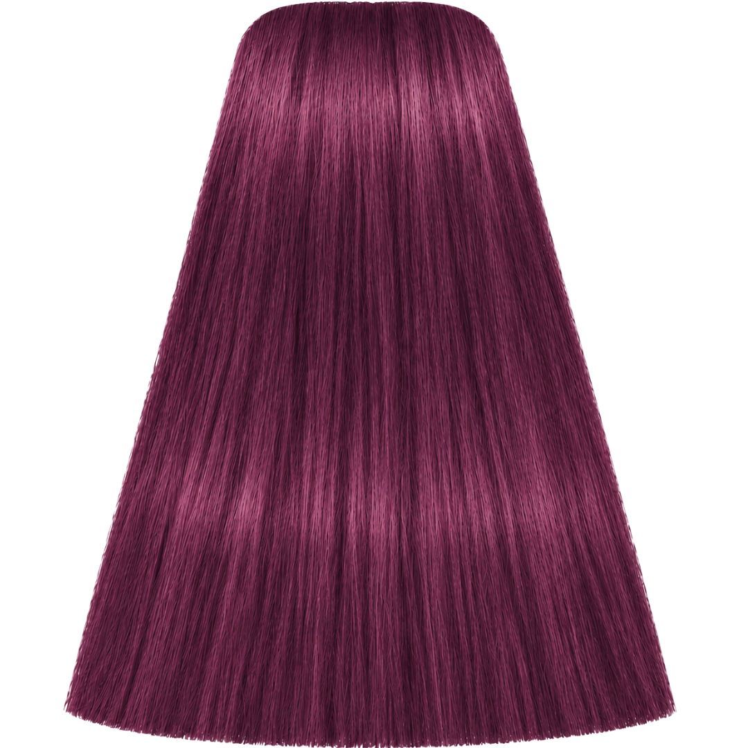 תת צבע לשיער 0-89 ANTI VIOLET CONCENTRATE איגורה IGORA שוורצקופף 60 גרם תת צבע לשיער 0-89 ANTI VIOLET CONCENTRATE איגורה IGORA שוורצקופף 60 גרם