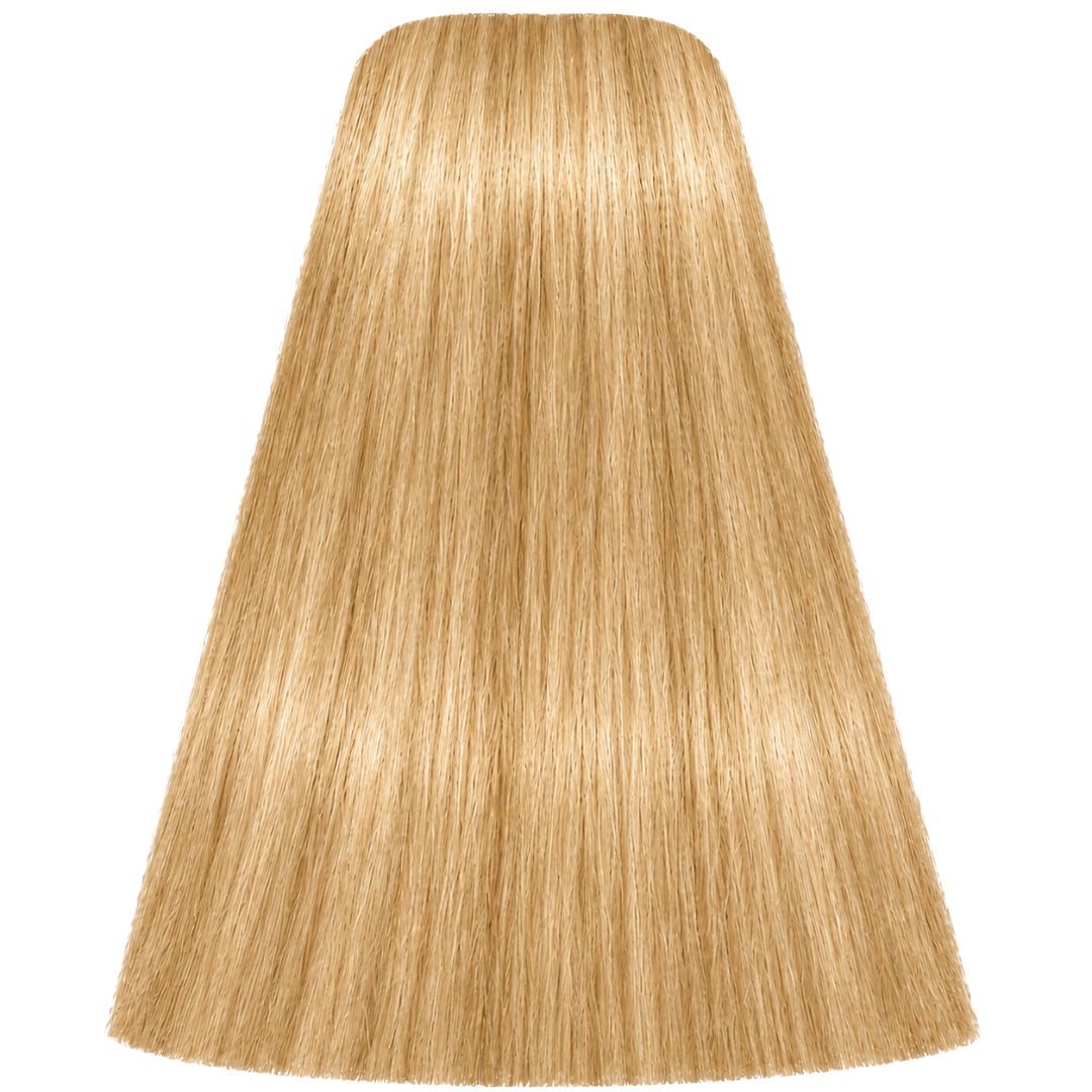 צבע לשיער L-00 SPECIALITES איגורה IGORA שוורצקופף 60 גרם שוורצקופף 60 גרם צבע לשיער L-00 SPECIALITES איגורה IGORA שוורצקופף 60 גרם שוורצקופף 60 גרם