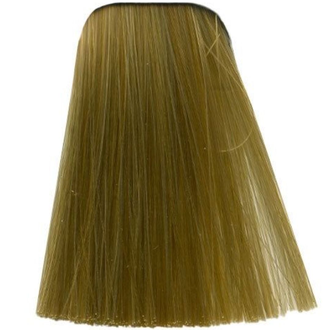 צבע לשיער L-00 SPECIALITES איגורה IGORA שוורצקופף 60 גרם שוורצקופף 60 גרם צבע לשיער L-00 SPECIALITES איגורה IGORA שוורצקופף 60 גרם שוורצקופף 60 גרם