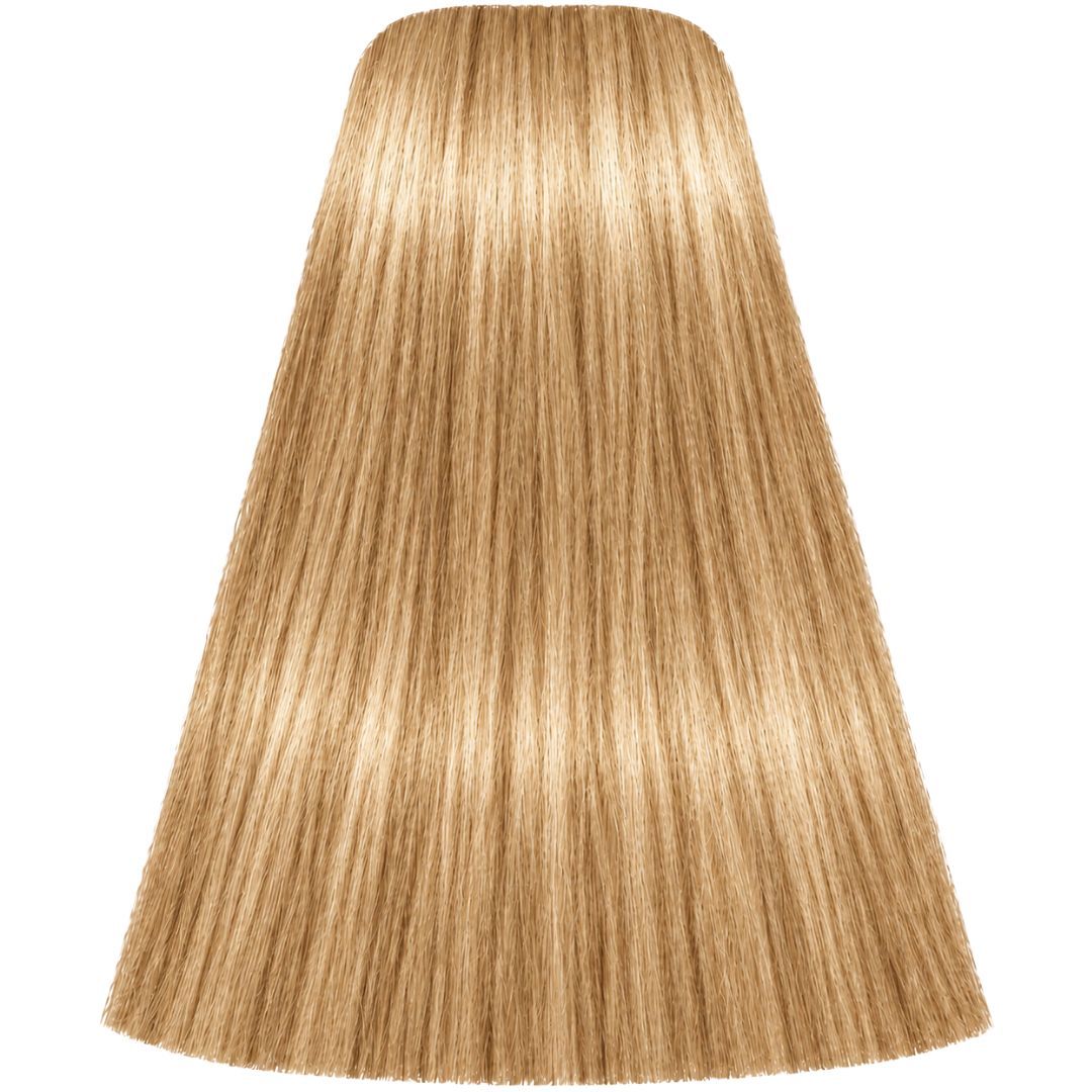 תת צבע לשיער L-44 BEIGE EXTRA איגורה IGORA שוורצקופף 60 גרם תת צבע לשיער L-44 BEIGE EXTRA איגורה IGORA שוורצקופף 60 גרם