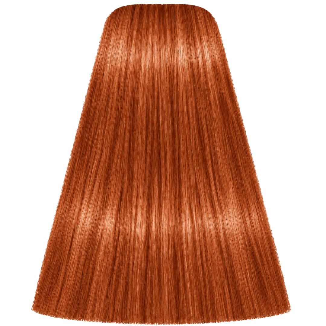 תת צבע לשיער L-77 COPPER EXTRA איגורה IGORA שוורצקופף 60 גרם תת צבע לשיער L-77 COPPER EXTRA איגורה IGORA שוורצקופף 60 גרם