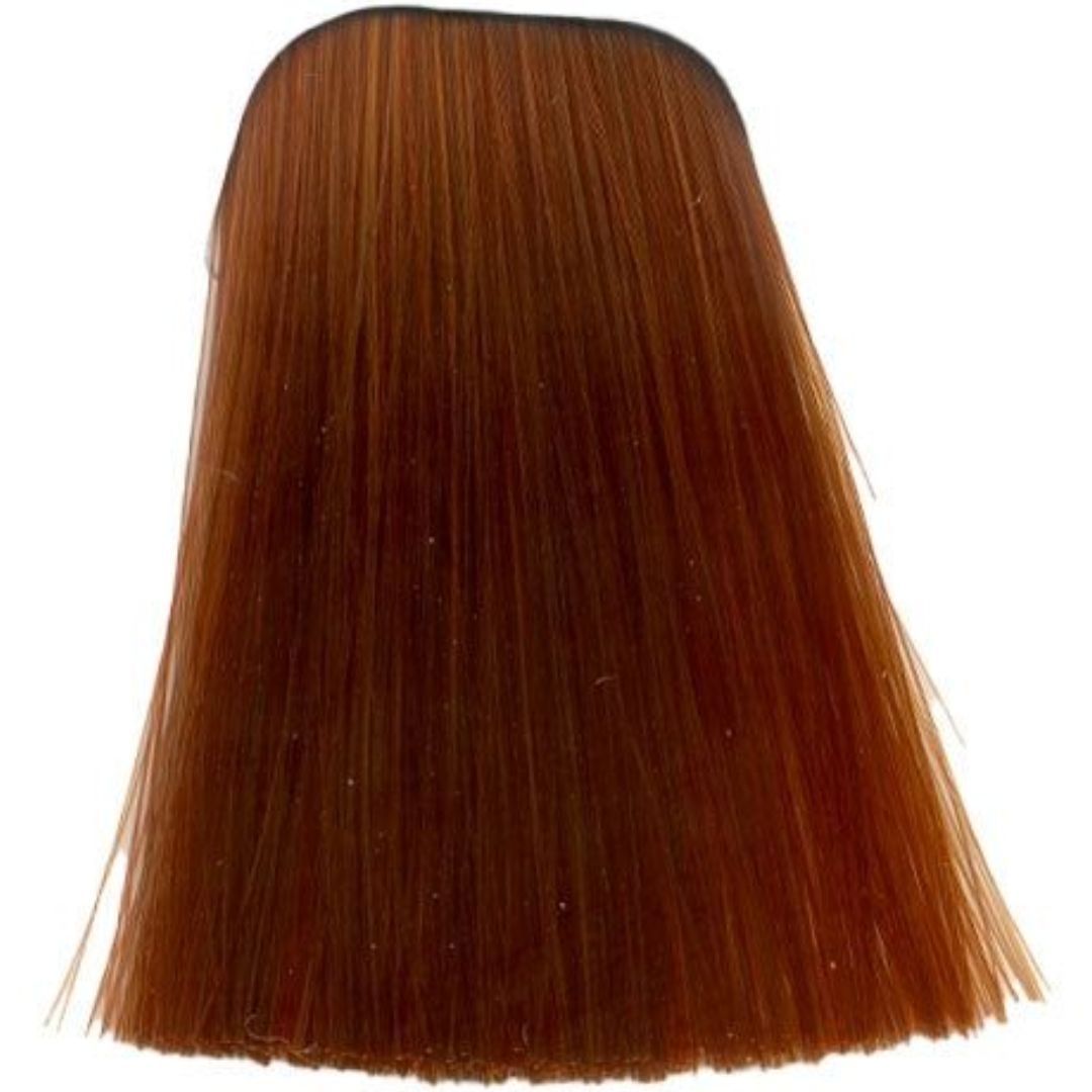 תת צבע לשיער L-77 COPPER EXTRA איגורה IGORA שוורצקופף 60 גרם תת צבע לשיער L-77 COPPER EXTRA איגורה IGORA שוורצקופף 60 גרם