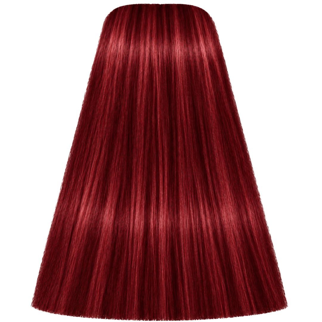 תת צבע לשיער L-88 RED EXTRA איגורה IGORA שוורצקופף 60 גרם תת צבע לשיער L-88 RED EXTRA איגורה IGORA שוורצקופף 60 גרם