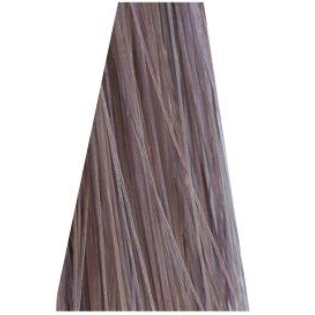 תת גוון 8-19 LIGHT BLONDE CENDRE VIOLET אסנסיטי ESSENSITY שוורצקופף 60 גרם תת גוון 8-19 LIGHT BLONDE CENDRE VIOLET אסנסיטי ESSENSITY שוורצקופף 60 גרם