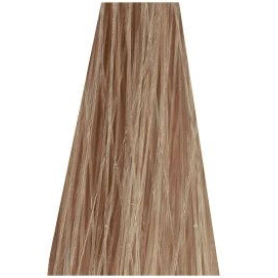 תת גוון 10-19 ULTRA BLONDE CENDRE VIOLET אסנסיטי ESSENSITY שוורצקופף 60 גרם תת גוון 10-19 ULTRA BLONDE CENDRE VIOLET אסנסיטי ESSENSITY שוורצקופף 60 גרם