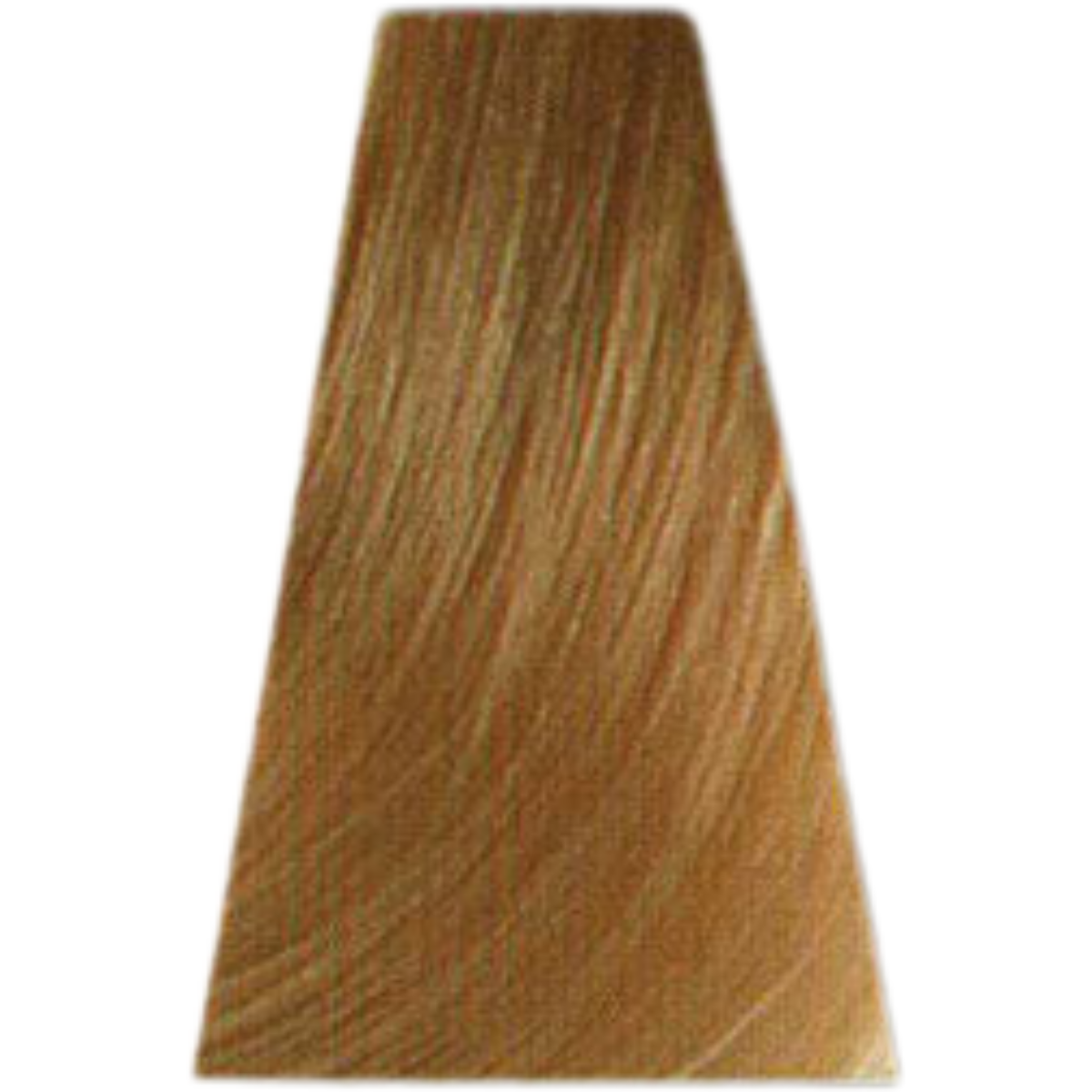 ��� ���� lightest golden ash blonde 10.31 ���� KEUNE