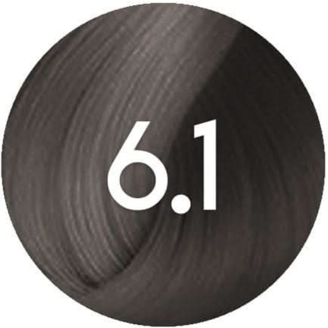 גוון 6.1 פארמויטה FarmaVita צבע לשיער 100 גרם גוון 6.1 פארמויטה FarmaVita צבע לשיער 100 גרם