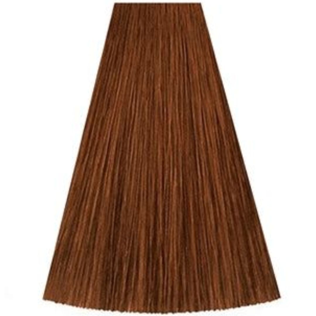 ���� 8/41 ����� KADUS ��� ����� 60 ���